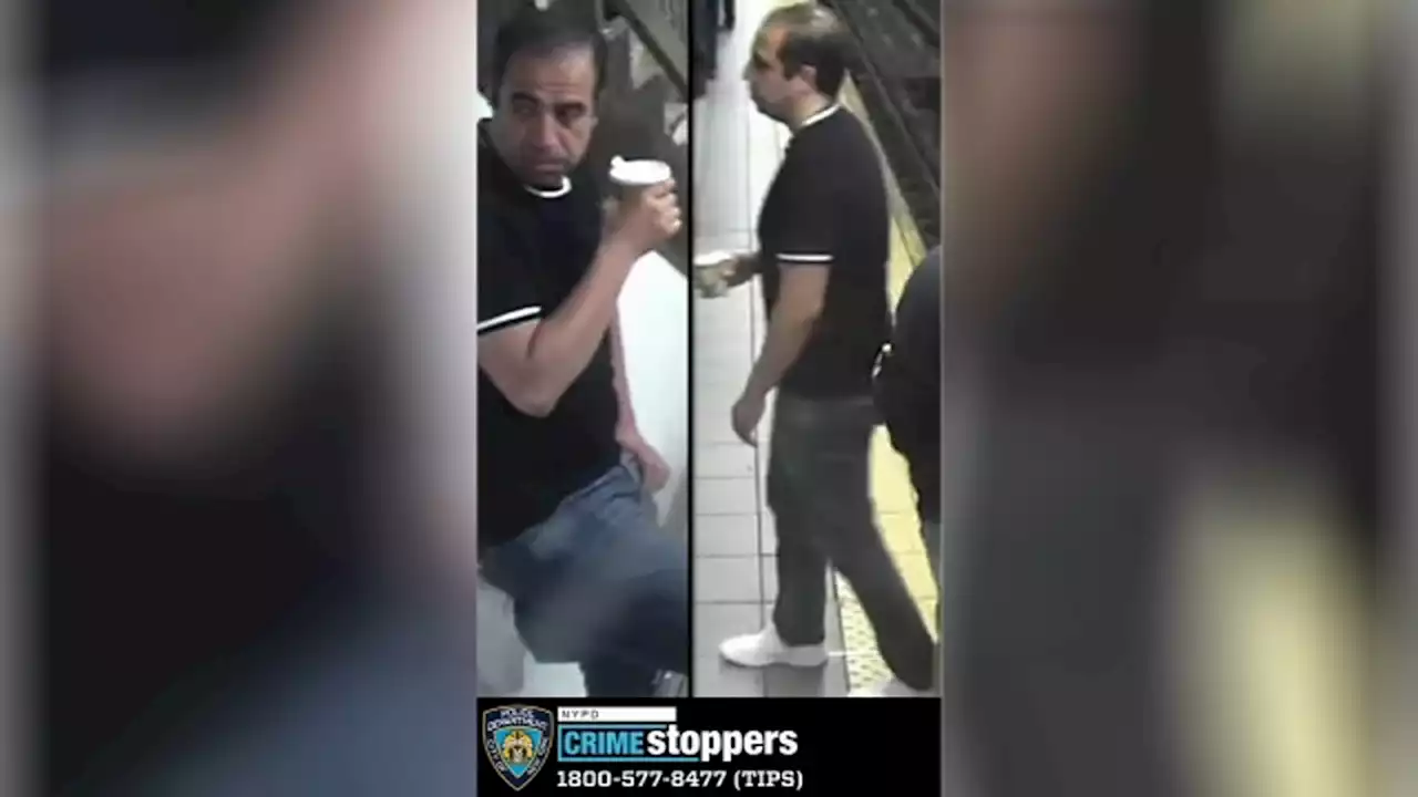 NYPD looking for man who pushed woman's head into subway train in Manhattan