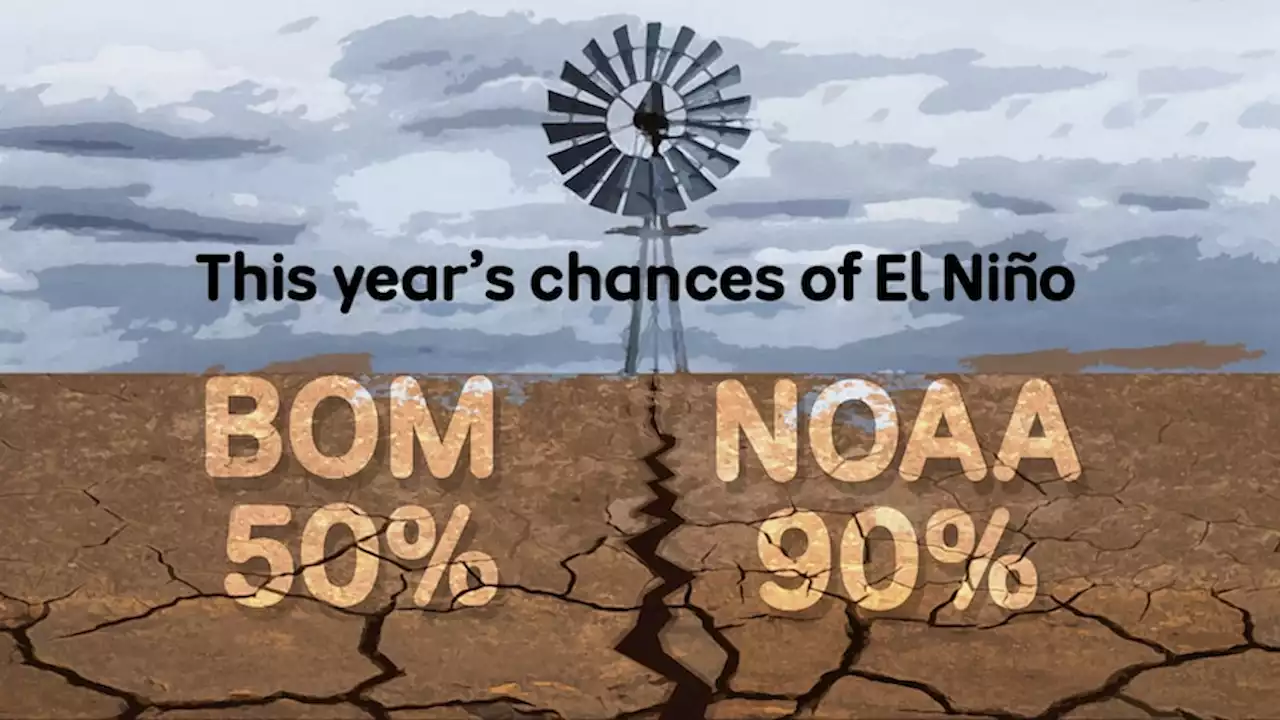 The BoM just updated its El Niño projections. And it's very different to the US