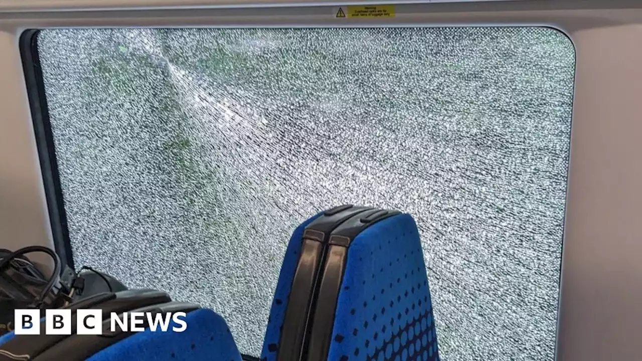 Leeds: Rush hour train window cracked in air gun incident