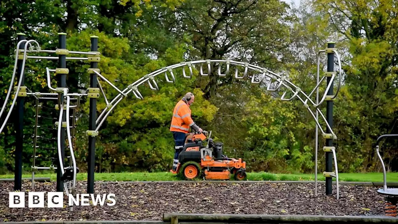 Grass cutting in Leicester reduced to support wildlife