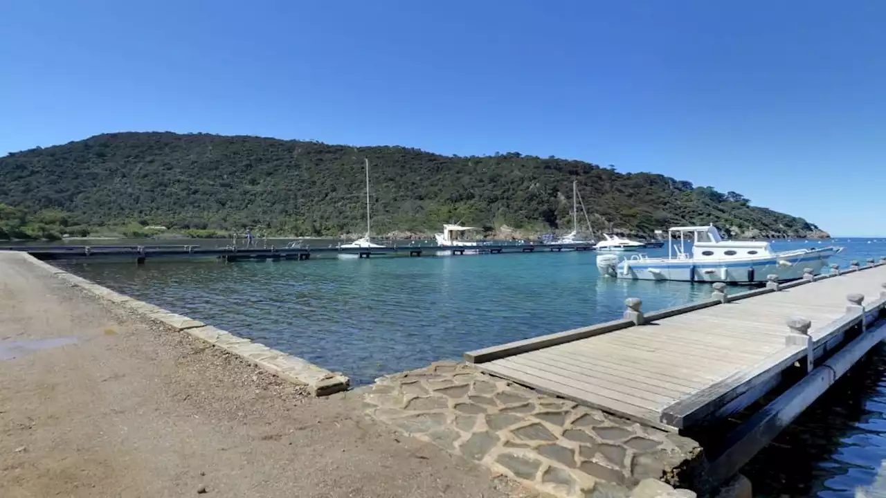 Var: la fréquentation des îles du parc national de Port-Cros à nouveau limitée cet été