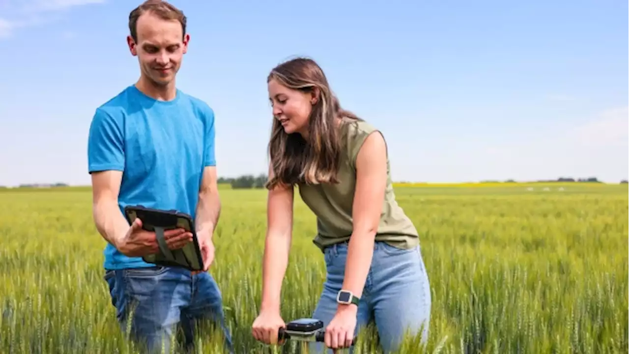 Tech, sustainability key to attracting young talent to an evolving agriculture sector - BNN Bloomberg