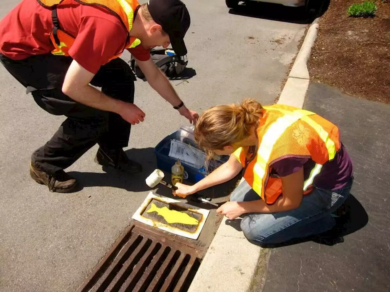 Lower Mainland Green Team offers chance to get outdoors and help the environment