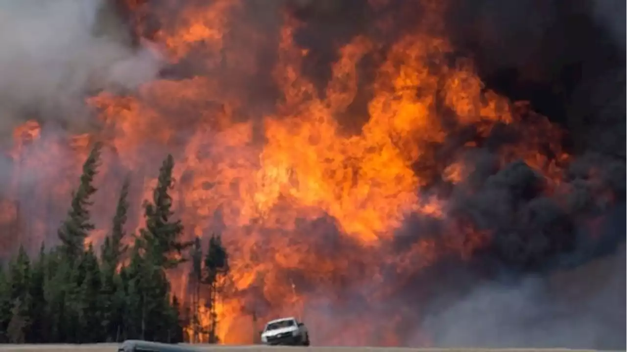 False wildfire and election information is thriving online. Here's how you can tackle it | CBC News