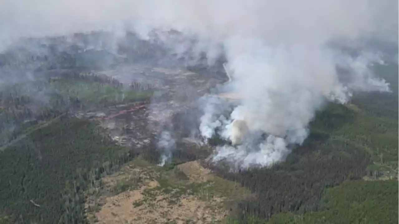 Rainfall could be 'turning point' in battle against Alberta wildfires, official says | CBC News