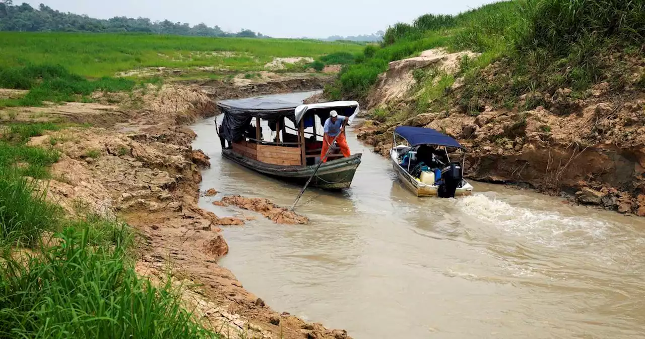 In the Amazon, Brazilian ecologists try new approach against deforestation