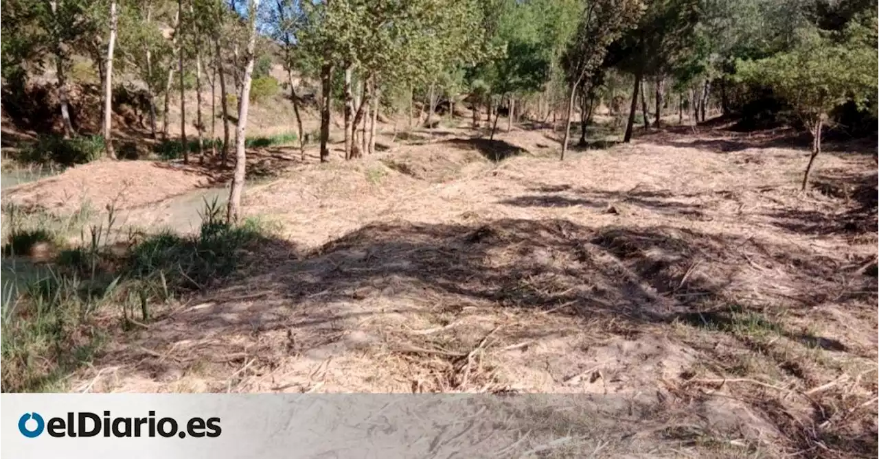 Ecologistas en Acción denuncia al SEPRONA la destrucción de bosque de ribera junto a las Chorreras del Cabriel