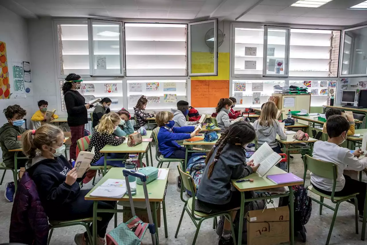 El Tribunal Constitucional impide a Vox acudir a las escuelas de Baleares para comprobar si se adoctrina en ellas