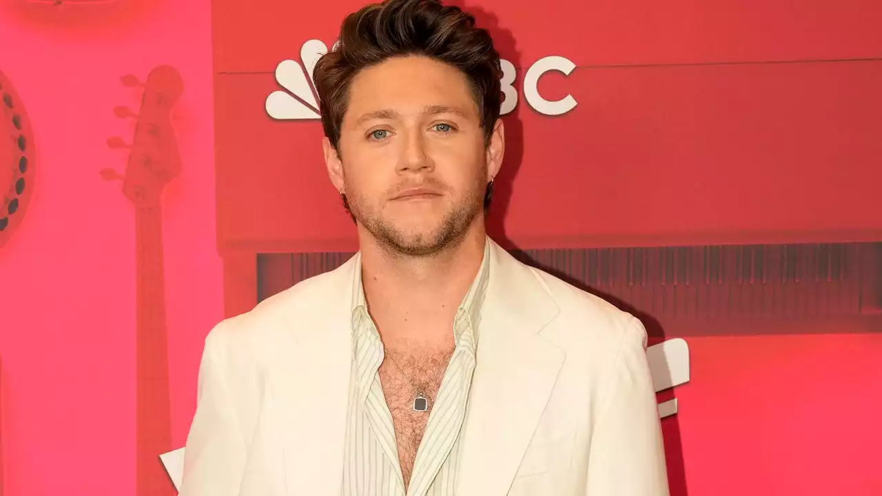 Niall Horan Talks Friendship With Blake Shelton at 'The Voice' Finale