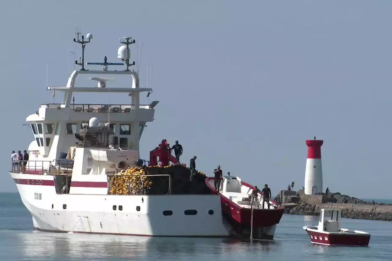 'On joue notre année, on n'a pas le droit de se louper' : les premiers thoniers ont quitté les ports de Sète et d'Agde