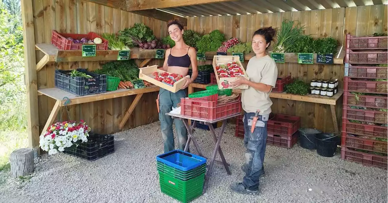 Manosque : 'La Terre Ferme', micro-ferme maraîchère en agriculture biologique