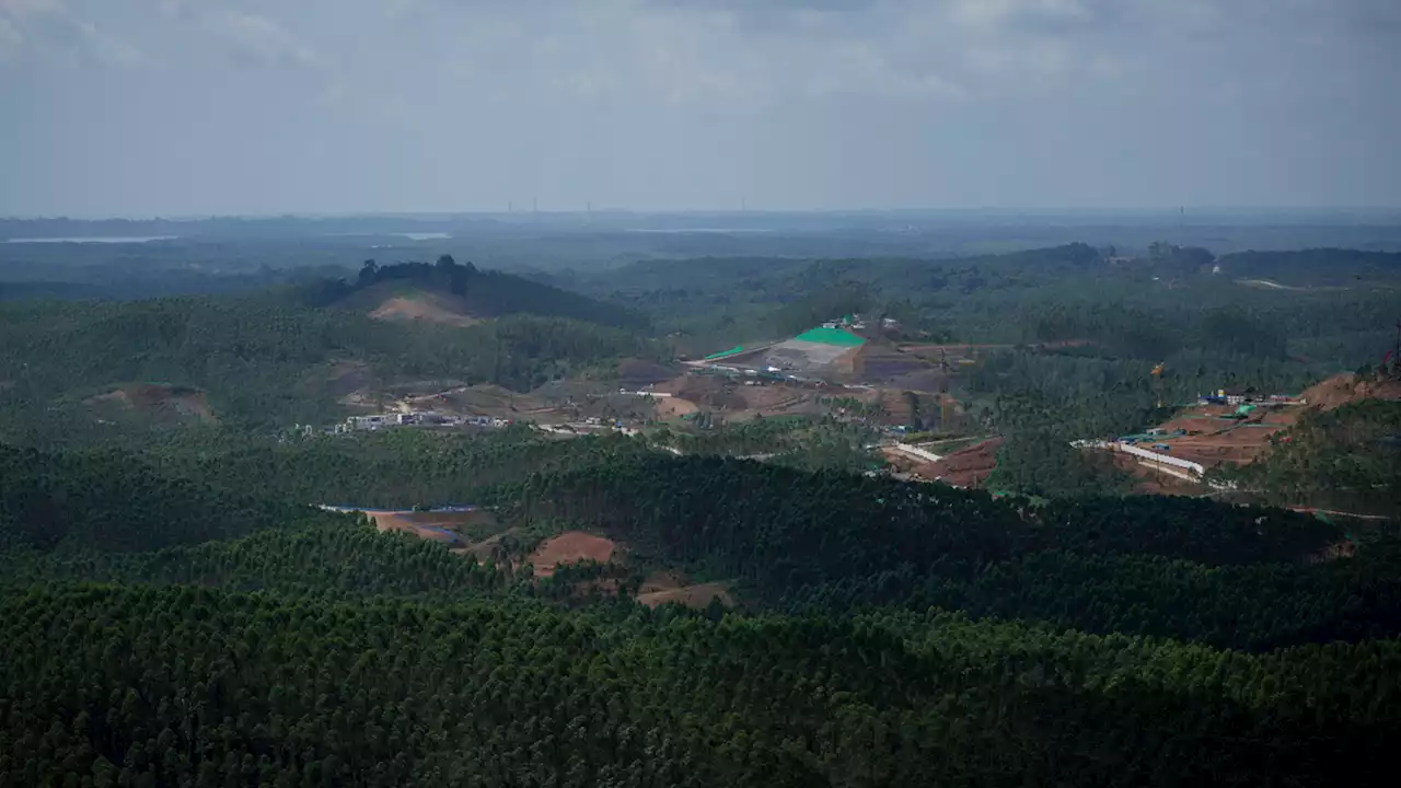 Banjir Peminat, 220 Investor Lirik Proyek IKN Nusantara