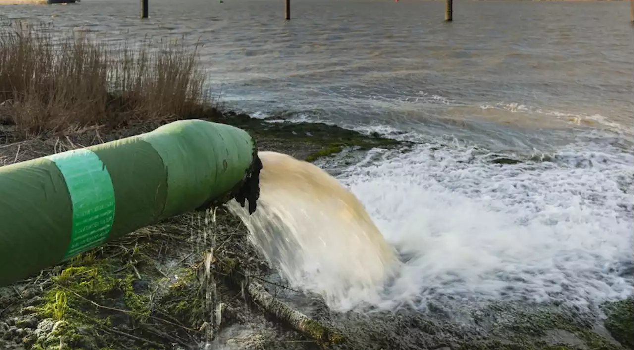 Water crisis ‘not confined to Hammanskraal’