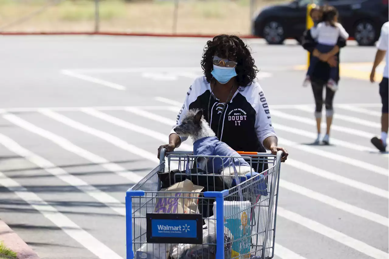 Walmart Will Offer Pet Telehealth in Latest Bid to Compete With Amazon