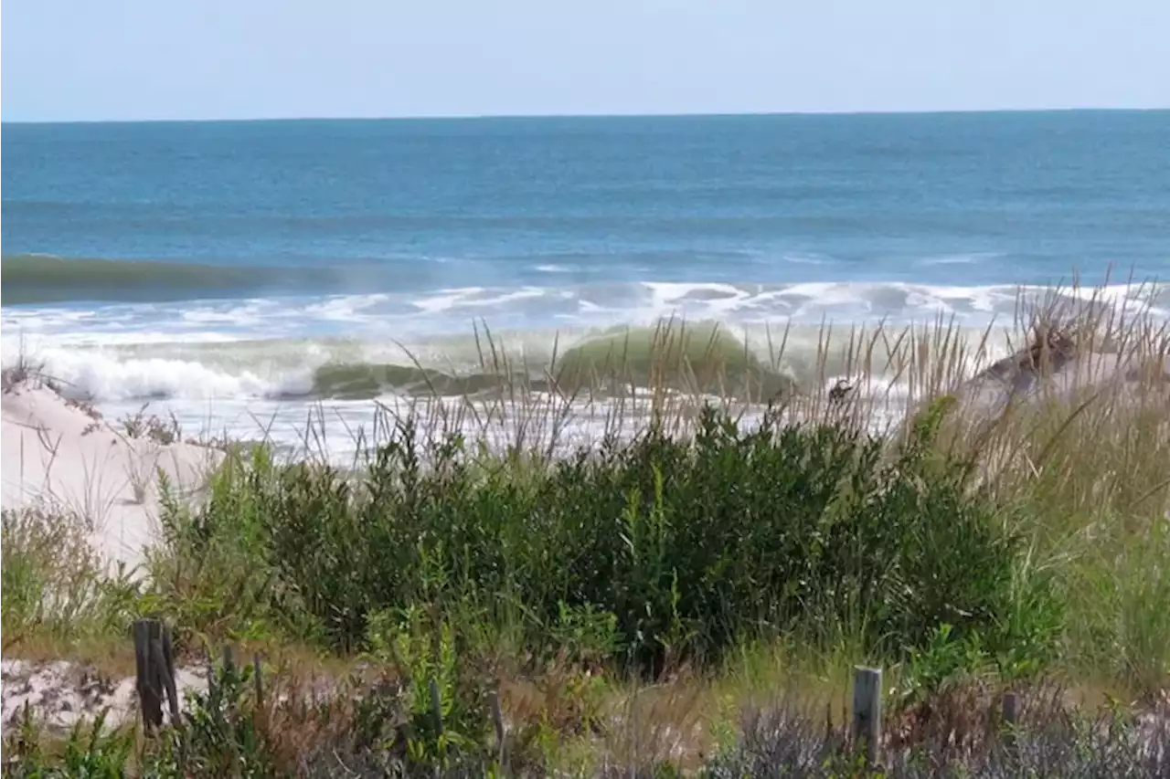 Teen bitten by shark while surfing at a South Jersey beach