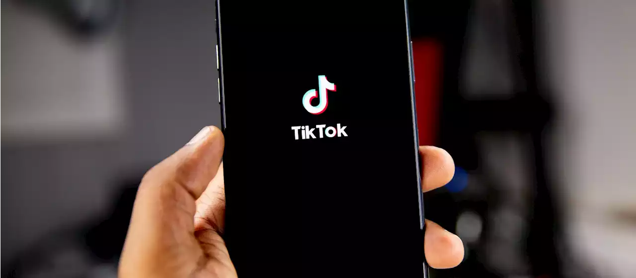 TikTok stämmer Montana