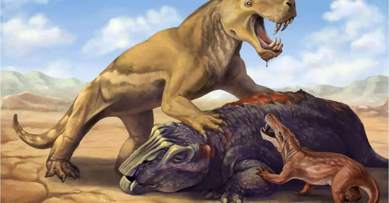 South African fossils reveal ancient beast's epic journey to oblivion