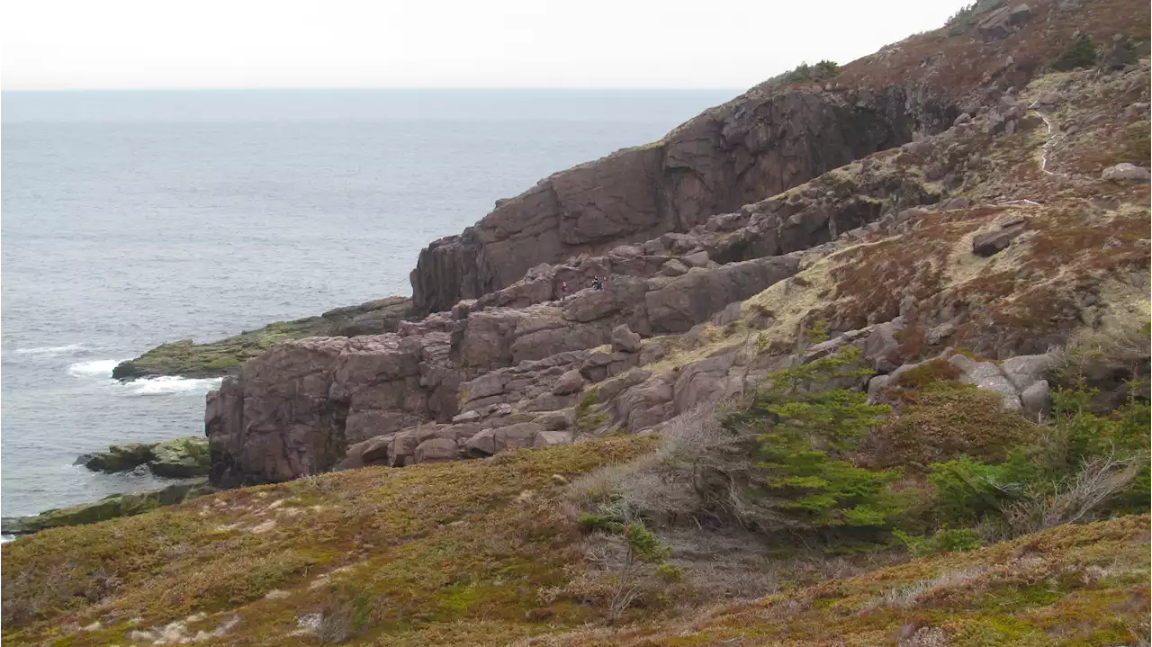 WEATHER PHOTO: Out for a hike in Logy Bay-Middle Cove-Outer Cove, N.L. | SaltWire