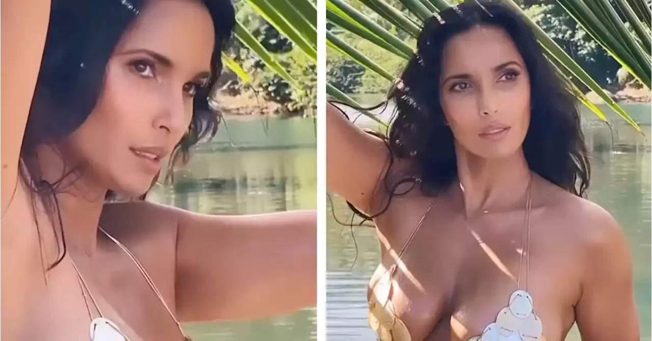 Padma Lakshmi Responded Bluntly To A Troll Who Said She Should “Lift Weights” For Her “Fat Arms”