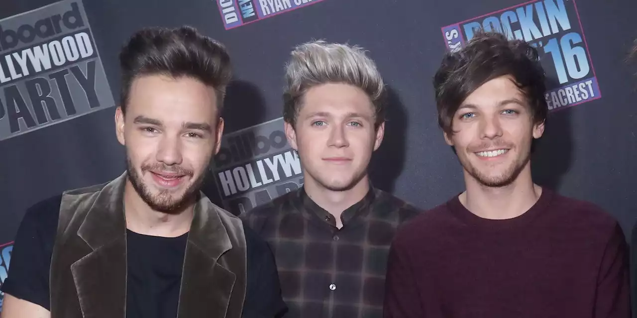 Several One Direction Members Reportedly Reunited in the Recording Studio