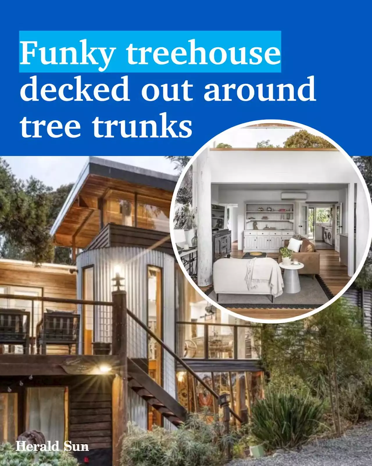 Eltham ’treehouse’ built around tree-trunk poles with funky design and timber throughout the home - realestate.com.au