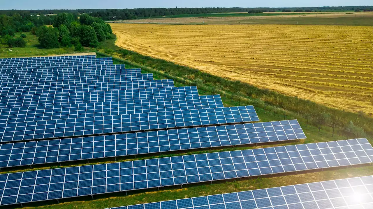 Plans for huge 40-year solar farm near Grimsby