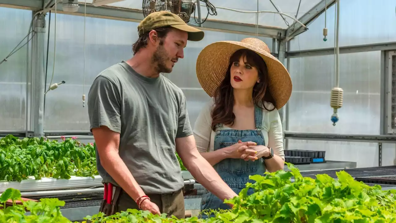 Zooey Deschanel Heads to Rebranded Max Streaming Service With Food Education Series