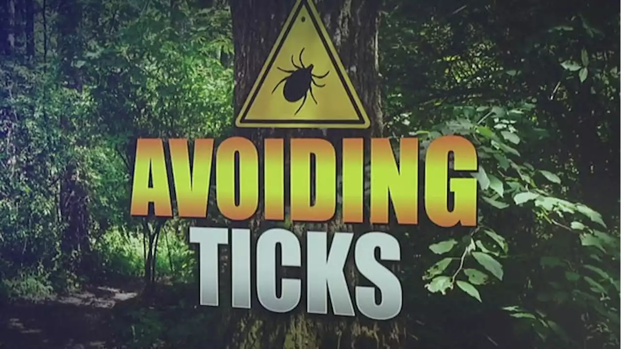 Prevention tips for tick bites and Lyme disease