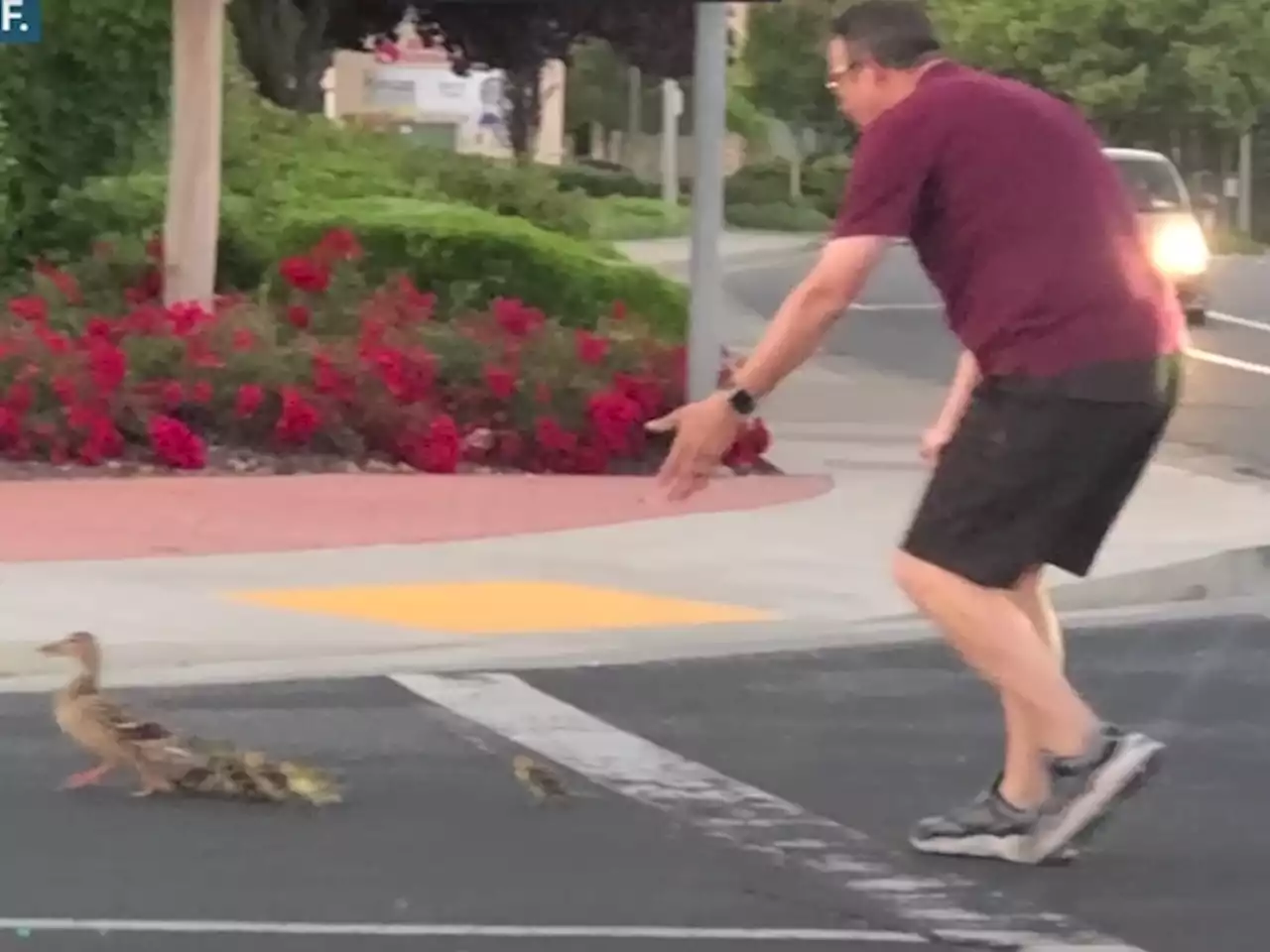 Act Of Kindness Goes Terribly Wrong – Dad Killed While Trying To...