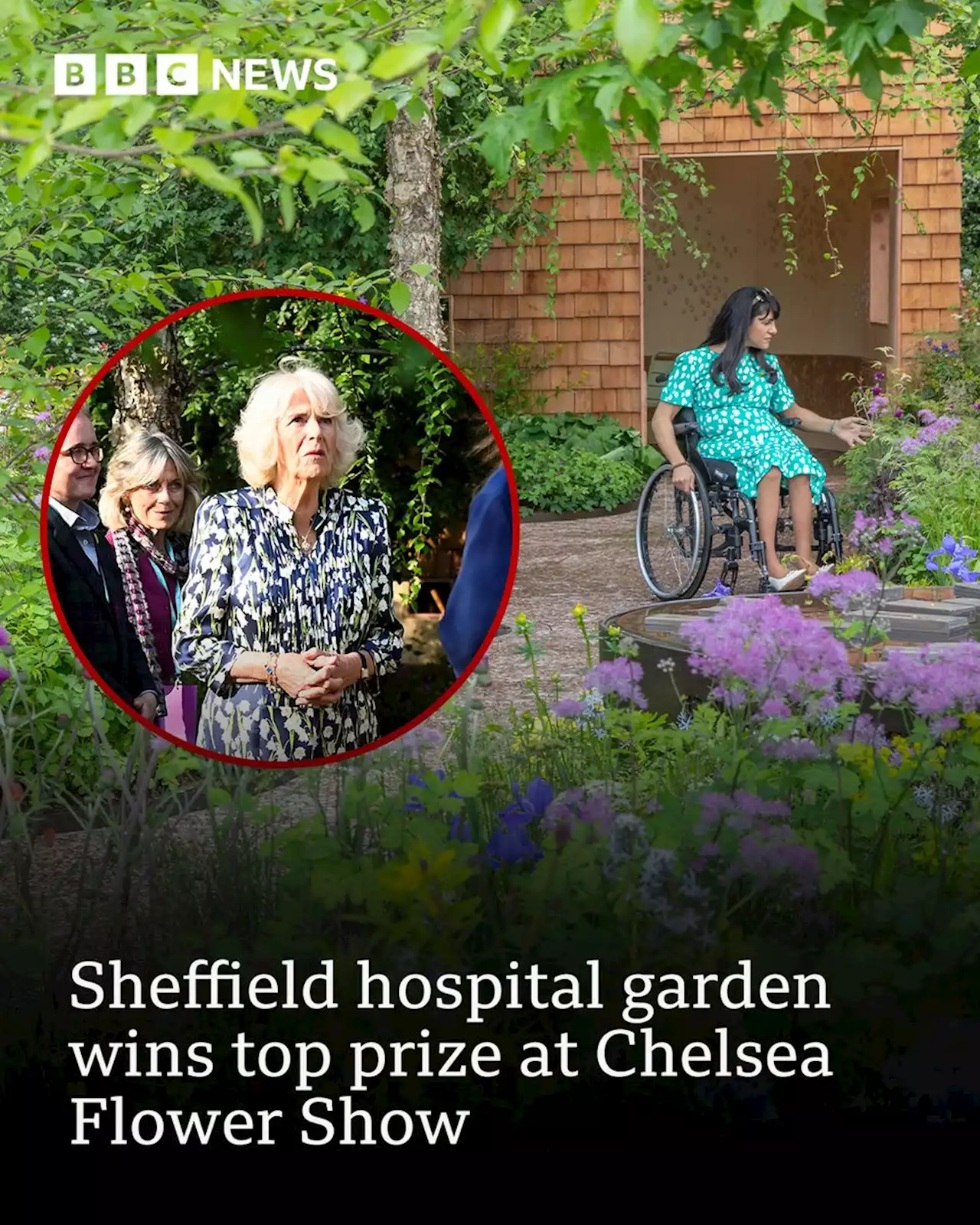 Sheffield hospital garden wins top prize at Chelsea Flower Show