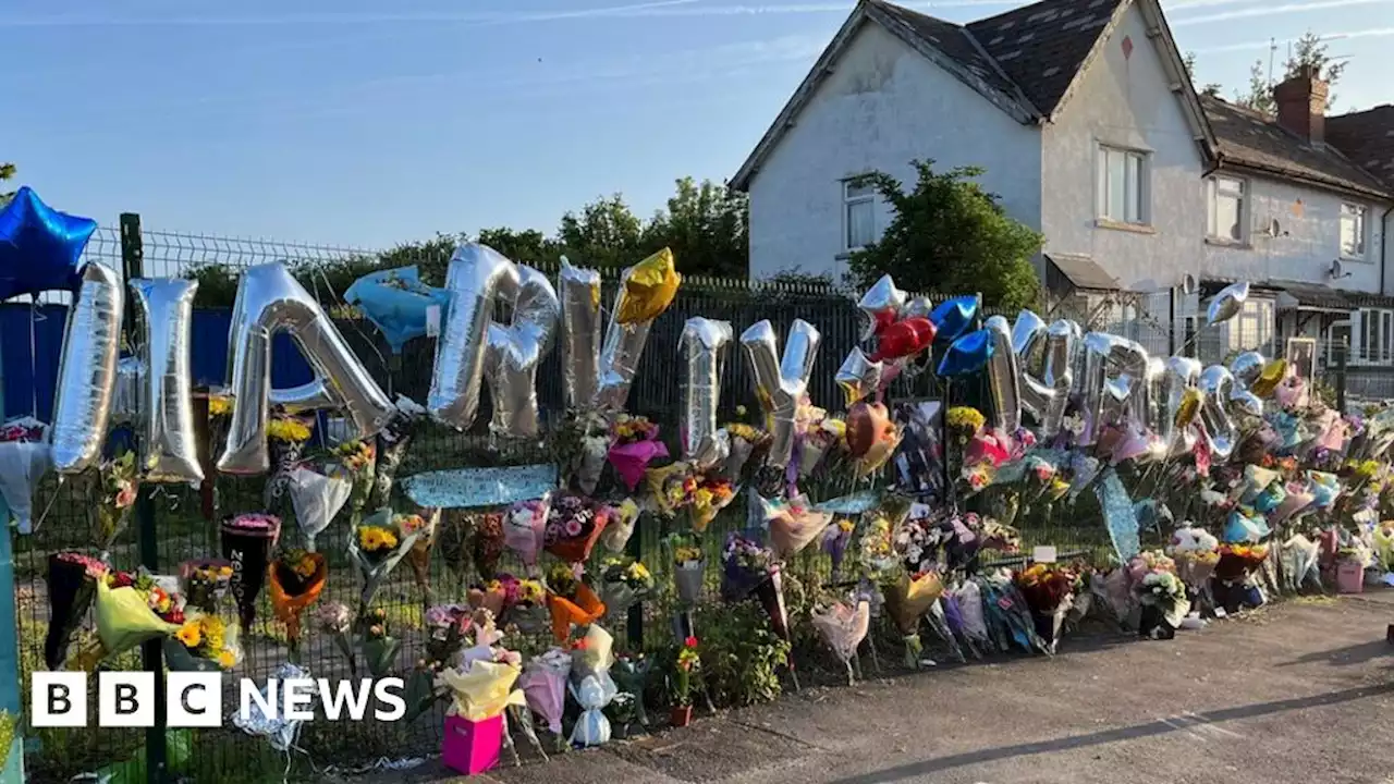 Cardiff riots: Killed teenagers not chased, say police