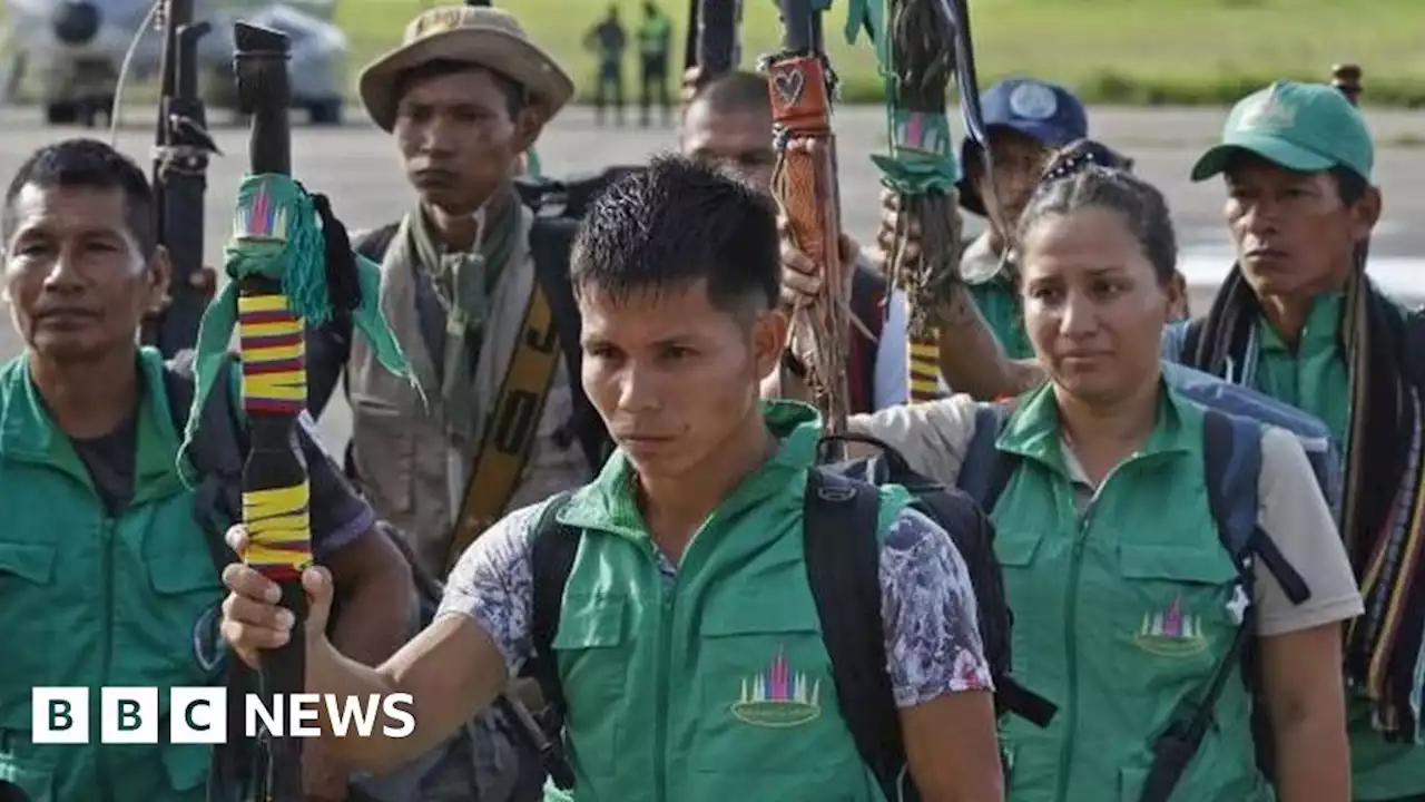 Colombian plane crash: New clues found in search for lost children