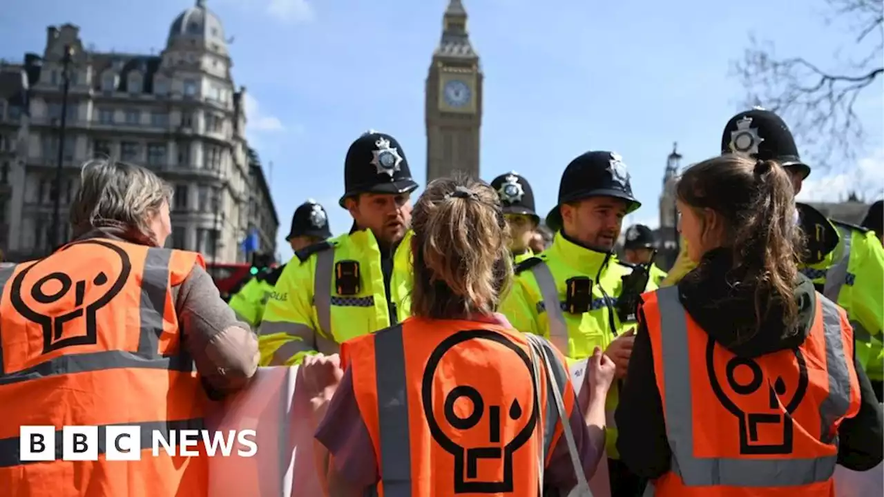 Just Stop Oil protests cost police £3.5m in month, says Met