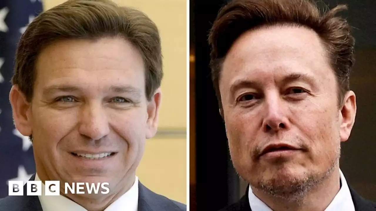 Risk and reward as Ron DeSantis links arms with Elon Musk