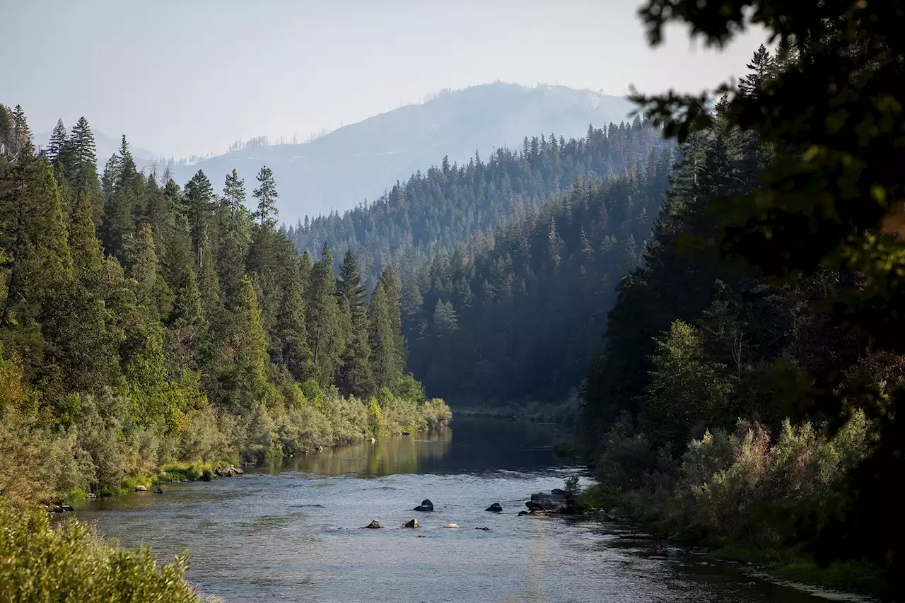 California taxpayers on the hook to save two unhealthy Western rivers