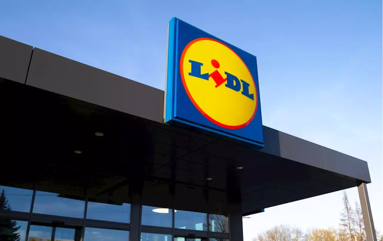 Lidl débarque sur le e-commerce, et ça va faire mal à la concurrence !