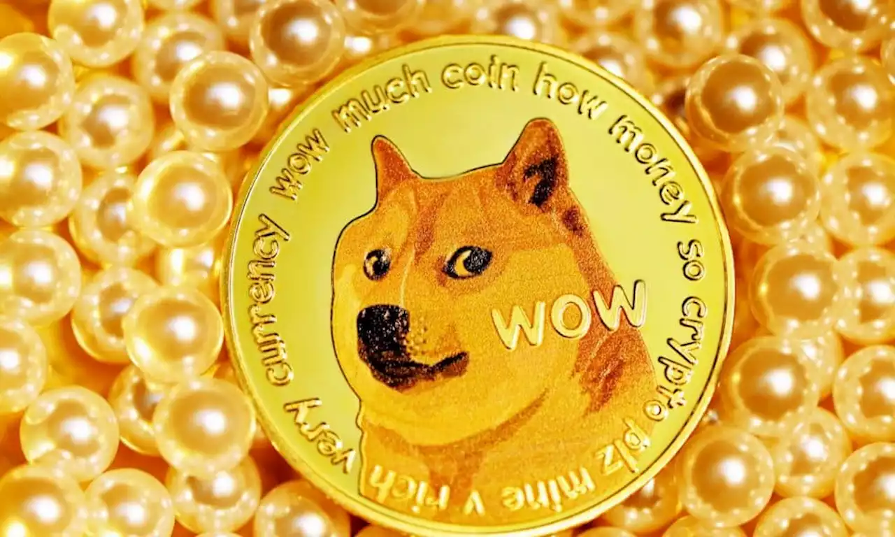 Why Elon Musk’s latest word could have DOGE and its holders confused