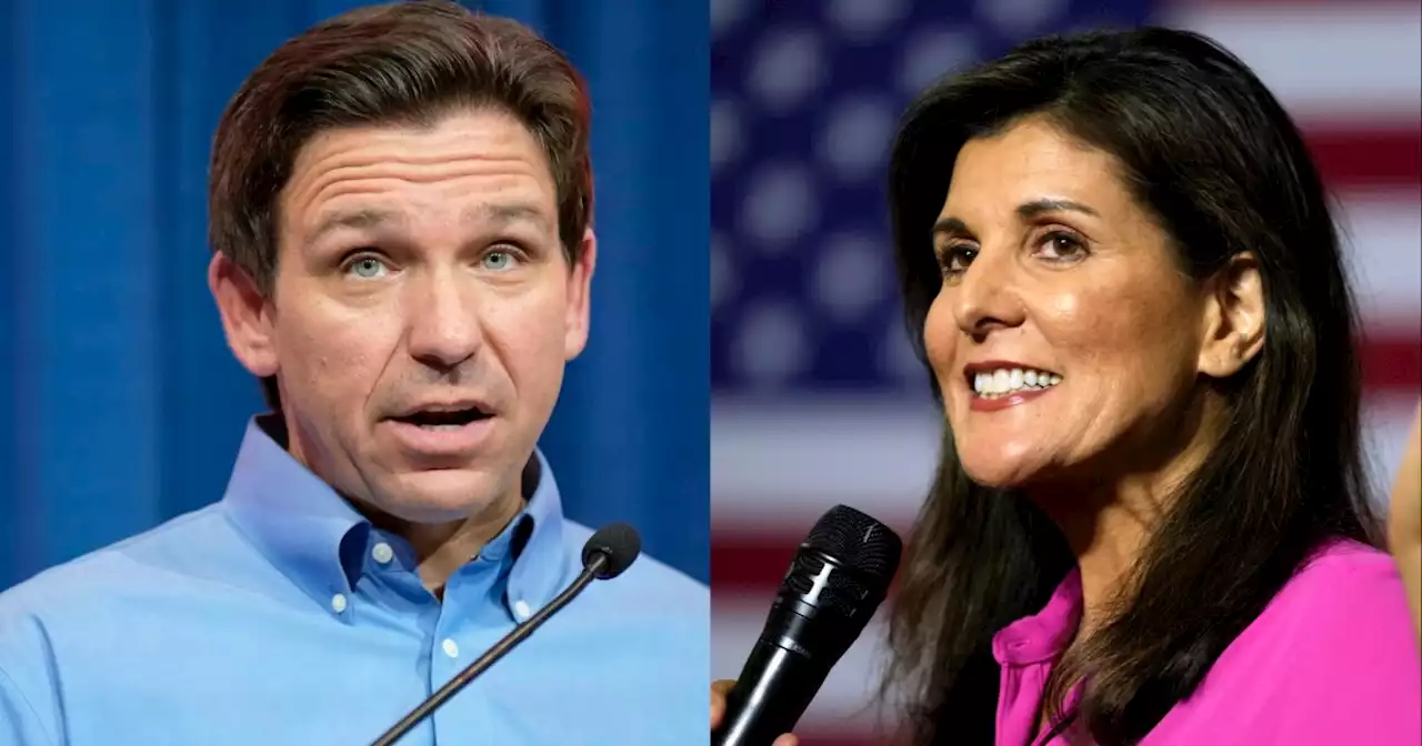 Haley campaign slams DeSantis for being 'echo' of Trump ahead of campaign launch