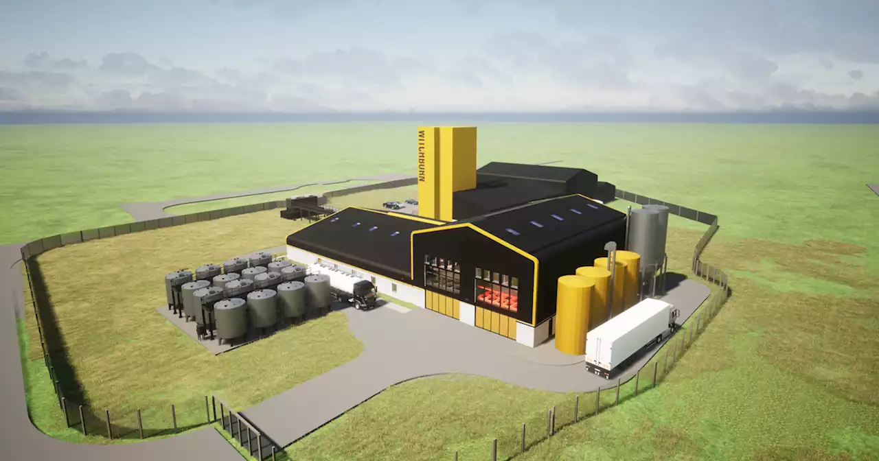 Glasgow-based whisky firm submits plans to build distillery in Campbeltown