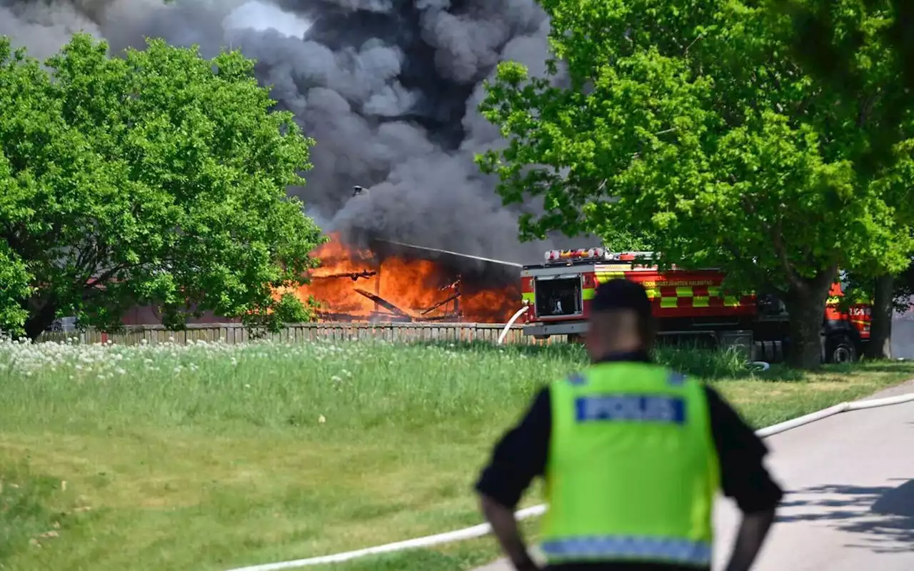 Kraftig brand i ladugård – flera djur döda