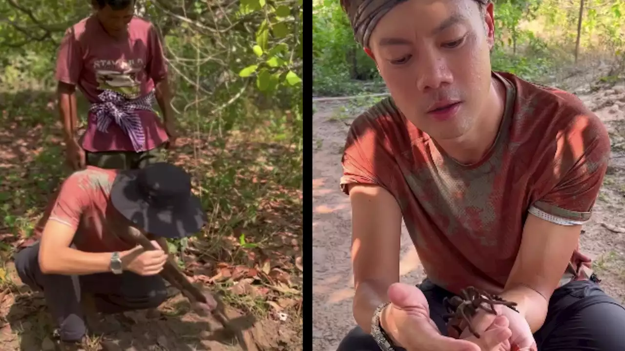 Danny Yeo eats smoked tarantula spider for a food show - Singapore News