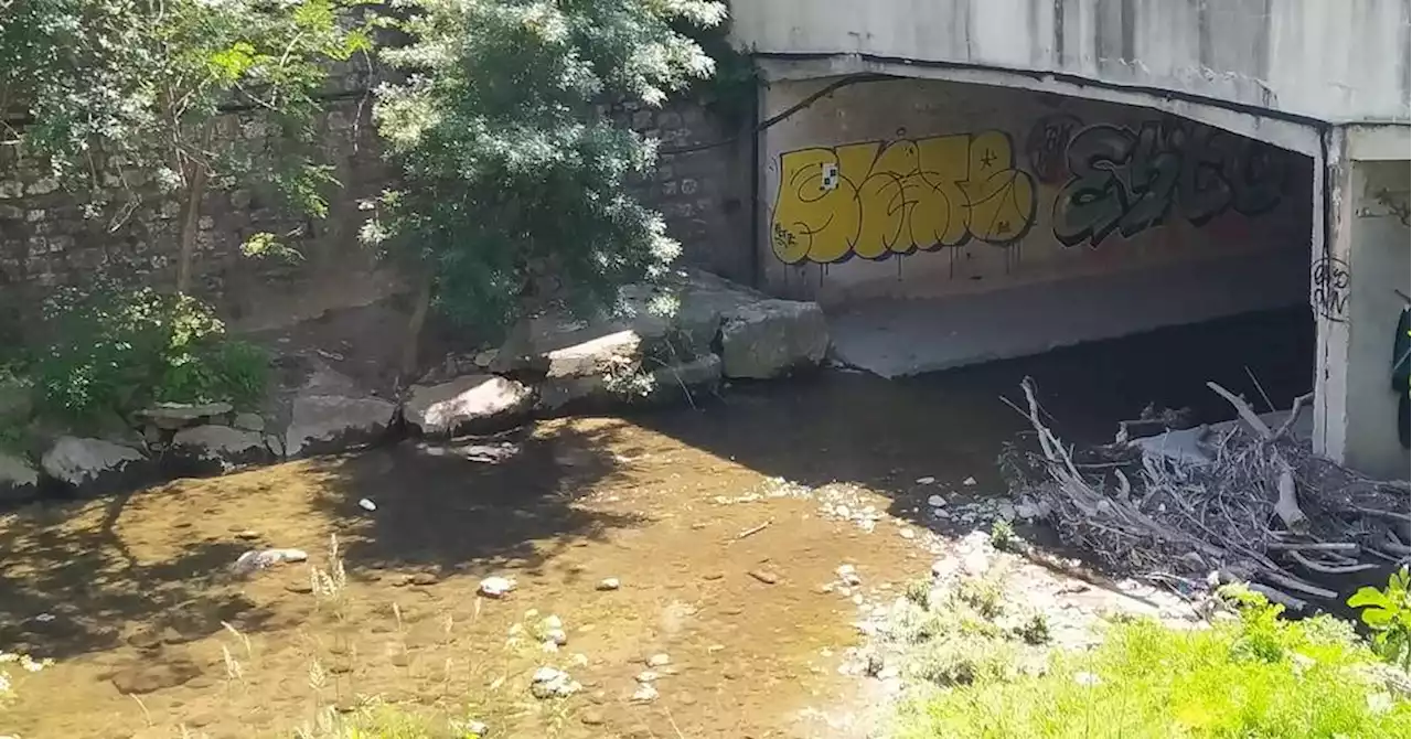 Aubagne : l'Huveaune s'assèche à vue d'œil et sa biodiversité aussi