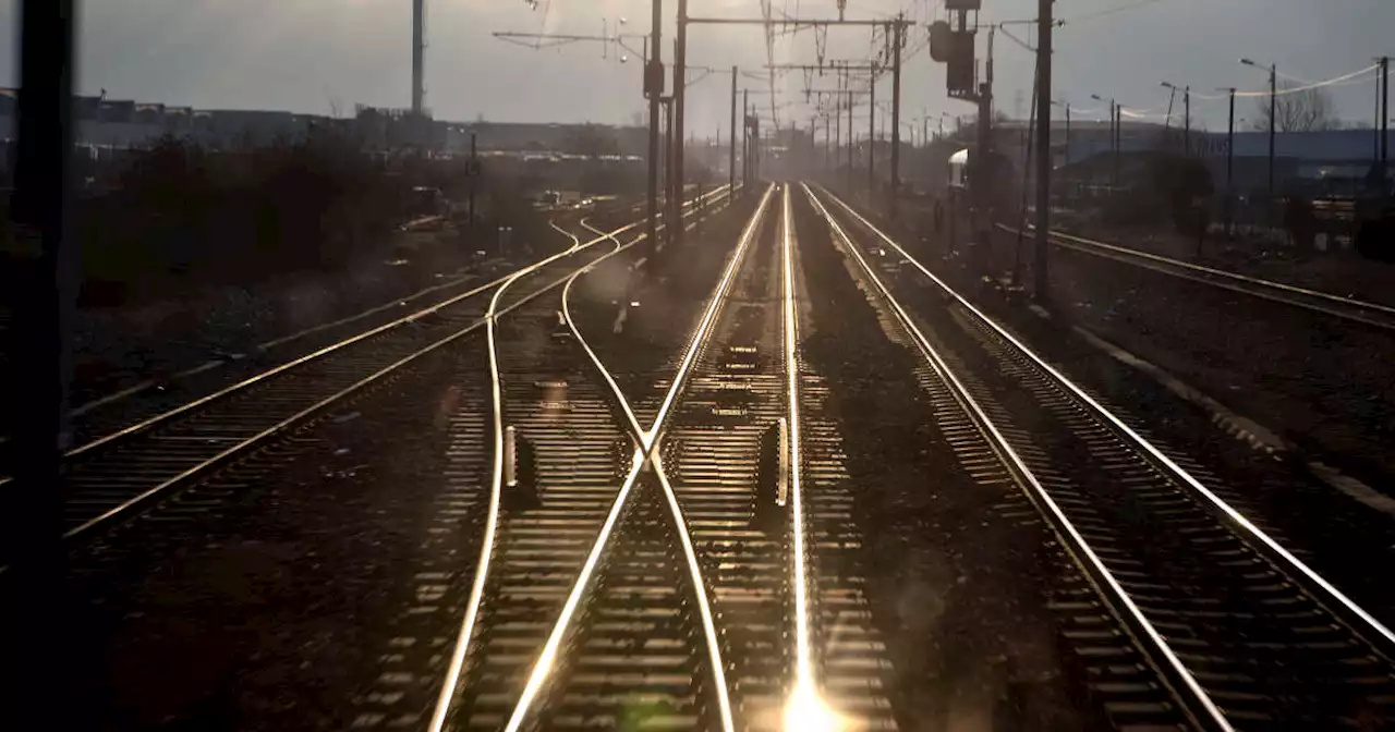 Ecoles, agriculture, transport ferroviaire, énergie… Neuf secteurs face au défi de l’adaptation climatique