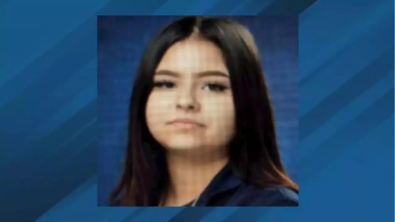 Amber Alert 14 Year Old Girl Last Seen In Tan Subaru In Houston United States Head Topics 0194