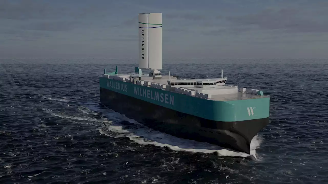 These massive, wing-like 'sails' could add wind power to cargo ships