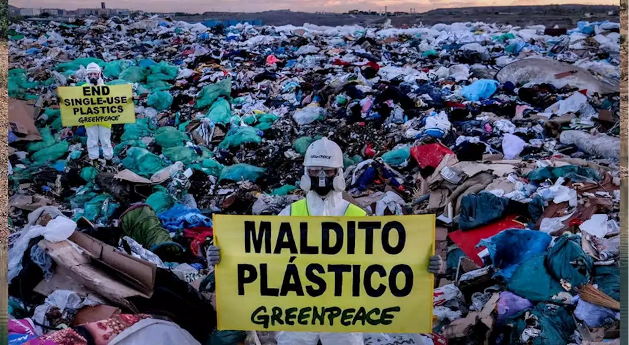 'Para sempre tóxico'. Reciclagem não resolve problema do plástico, alerta Greenpeace