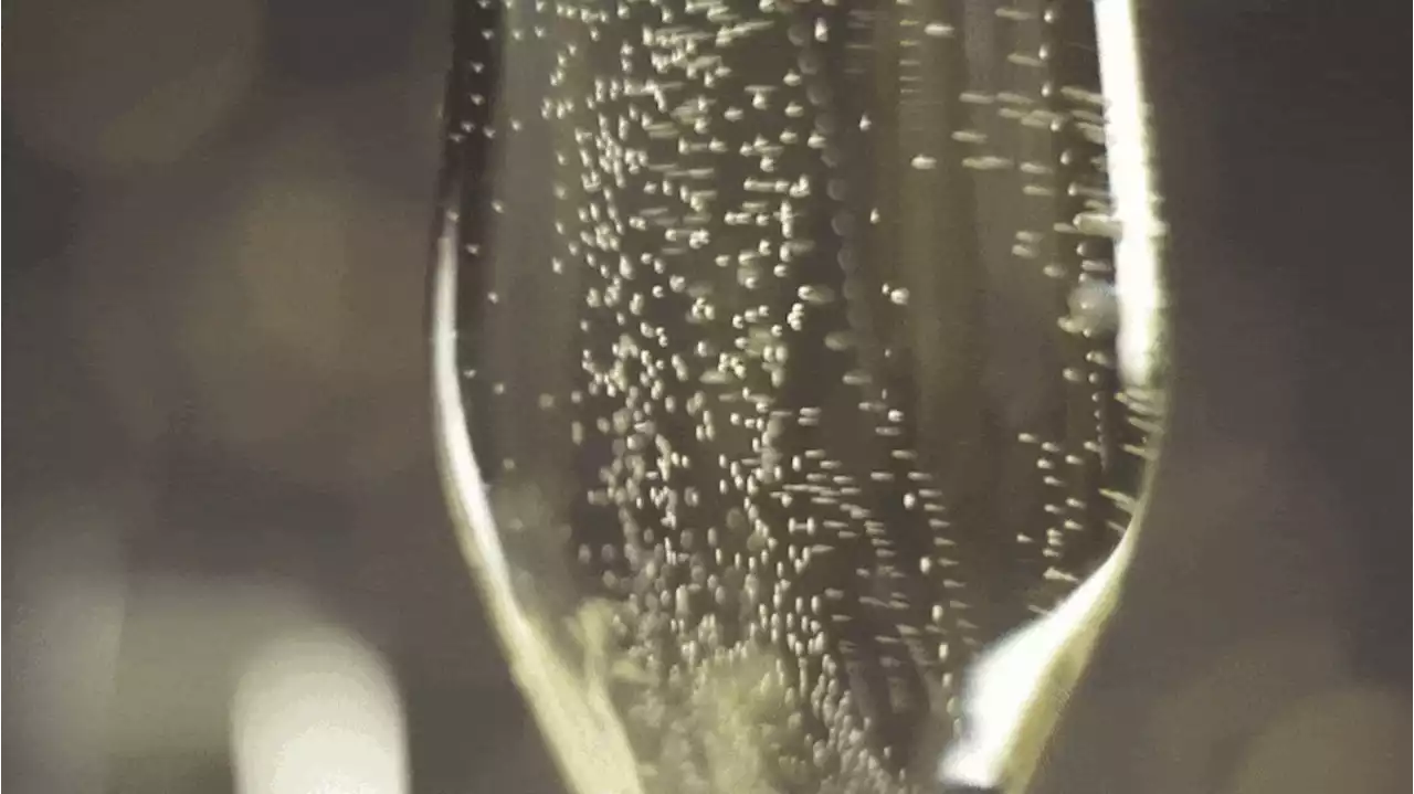 A Toast to Science: Researchers Unveil the Mystery Behind Champagne’s Elegant Bubbles