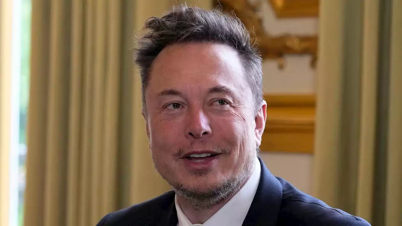 Elon Musk says artificial intelligence isn't 'necessary for anything'