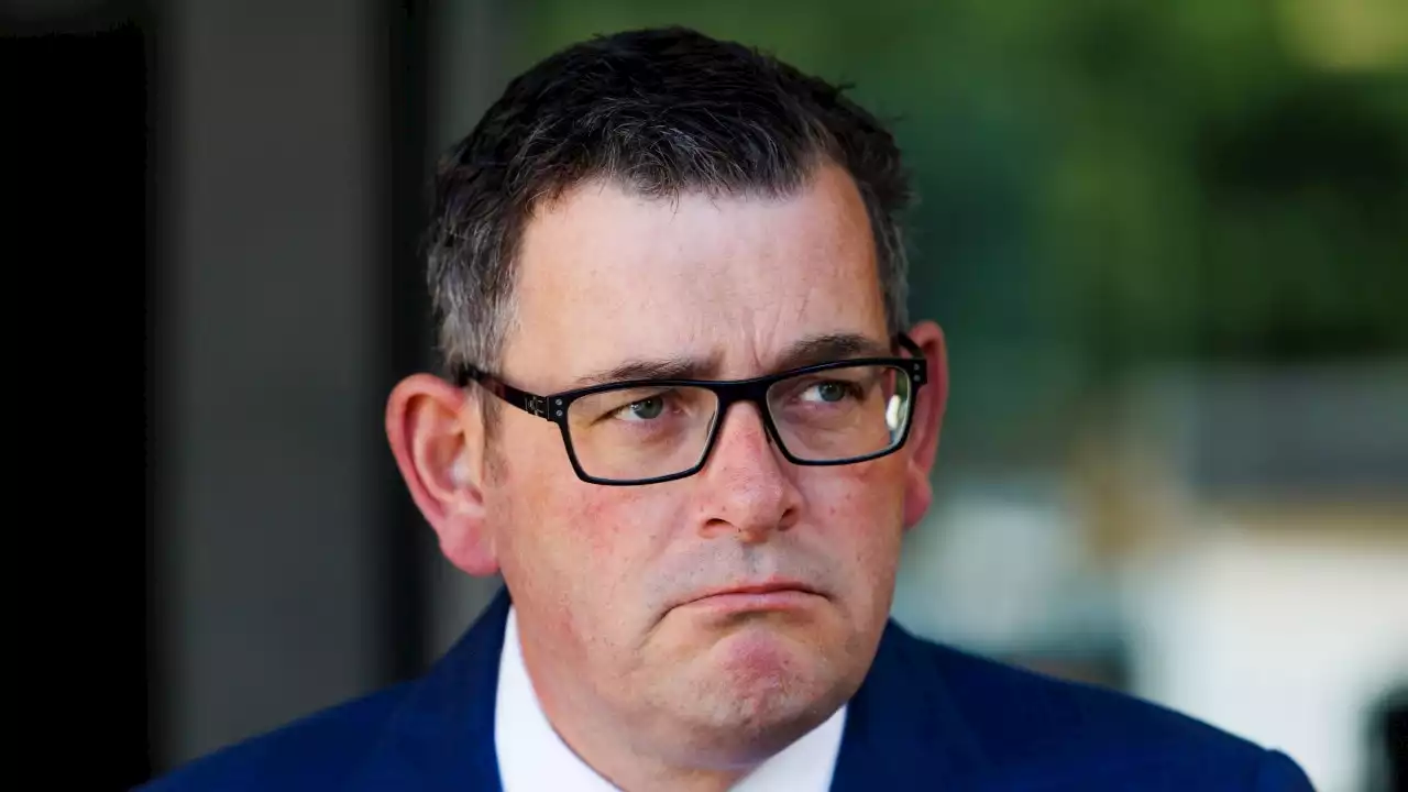 ‘Frankly he’s wrong’: Andrews responds to resignation over native logging ban