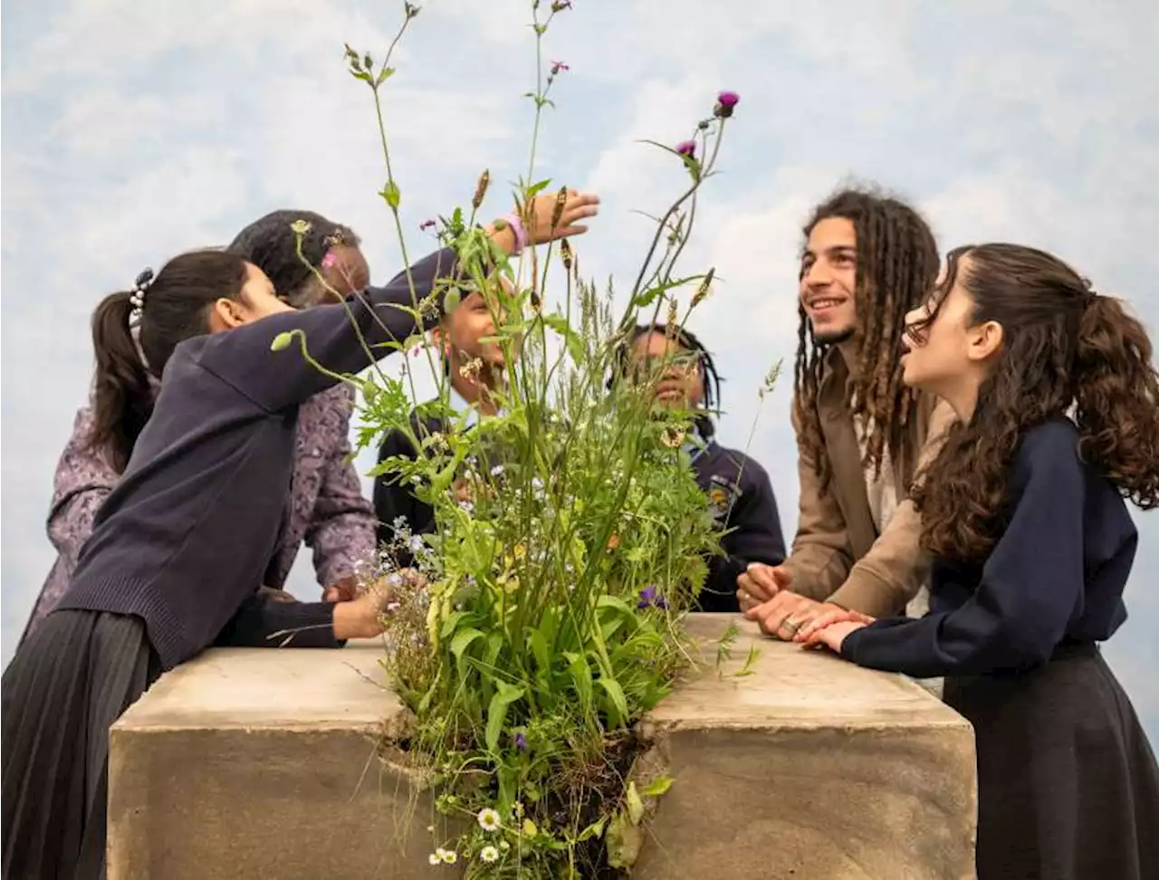 It's Chelsea Flower Show's smallest ever garden